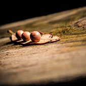 Nuts on a wooden surface