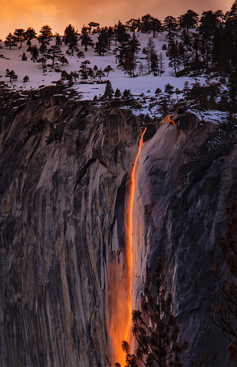 Waterfall cascading through a forest gorge