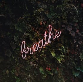 Neon pink cursive sign spelling breathe mounted on a dark leafy green wall in low light.