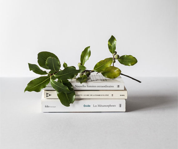 A small stack of books with French titles is topped by a green leafy branch against a plain light background