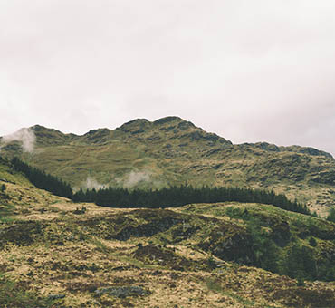 Misty green mountains with dense forest patches under a cloudy sky in a peaceful natural landscape.