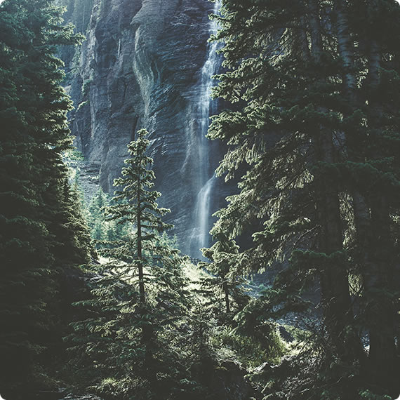 Image of forested valley