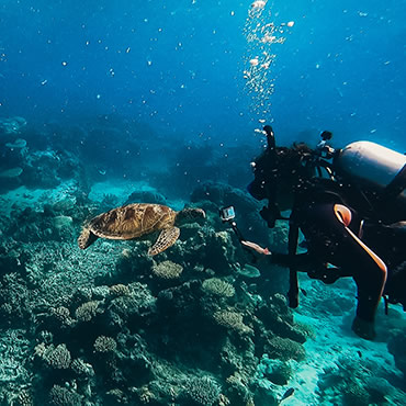 Undersea image of diver with turtle