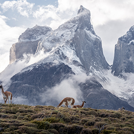 Image of snowy mountain