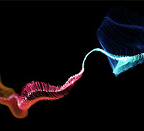 Vibrant, flowing lines in shades of blue, pink, and orange create a dynamic visual against a black background, suggesting movement and energy.