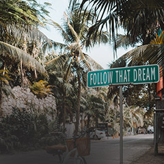 Green street sign with the words Follow That Dream surrounded by tropical palm trees on a sunny day