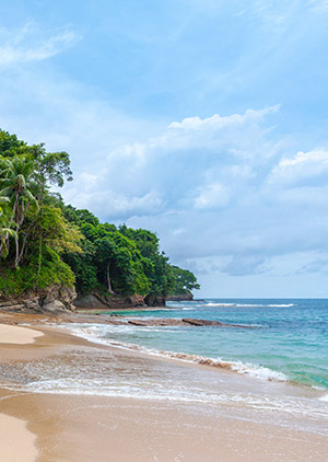 Secluded tropical beach with lush green trees, sandy shore, and gentle waves under a partly cloudy sky